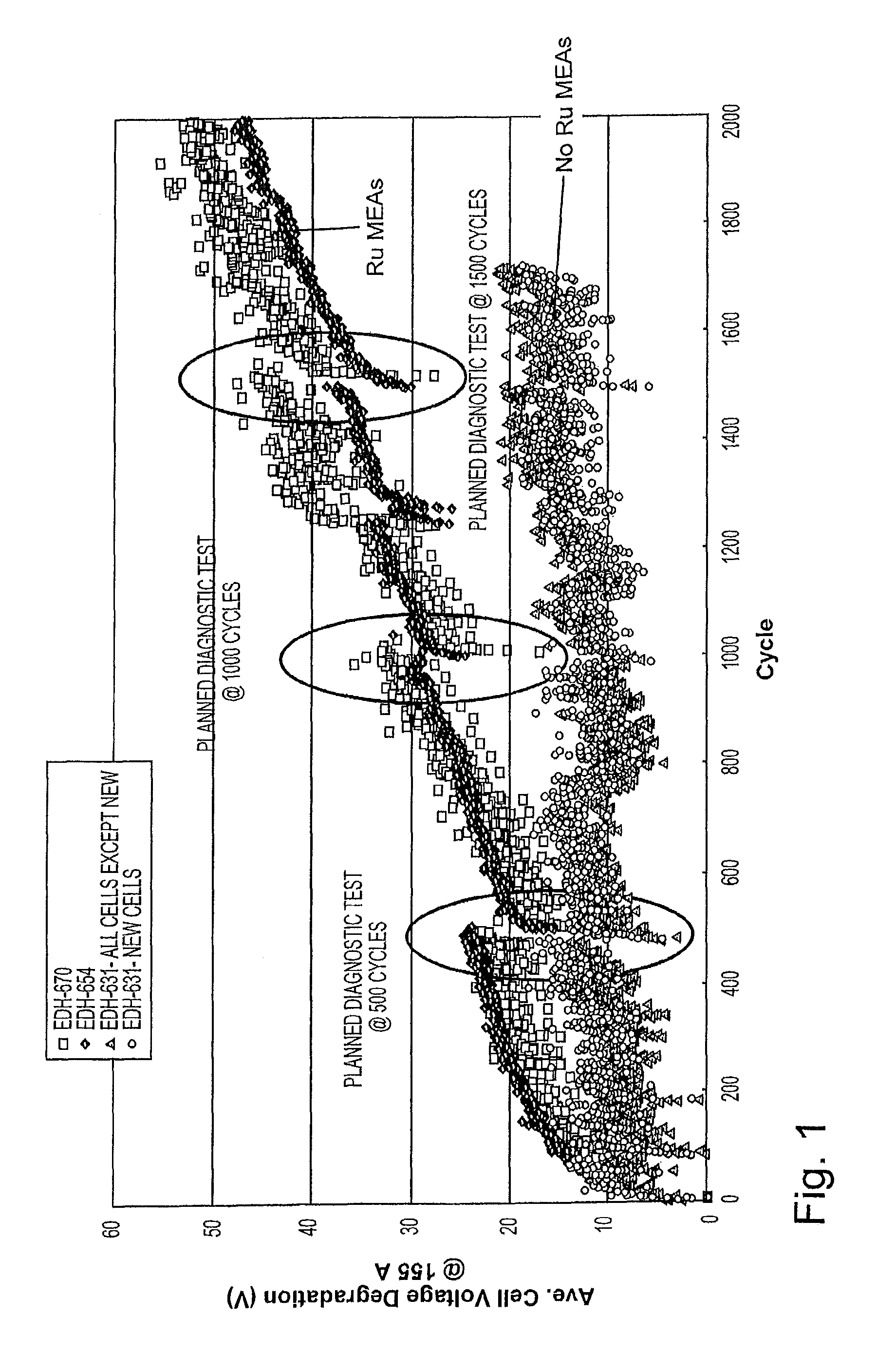 Reversal tolerant membrane electrode assembly for a fuel cell