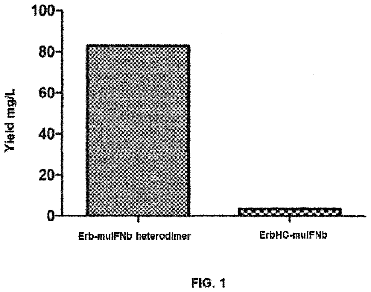 IL-10 EGFR antibody fusion protein and uses thereof