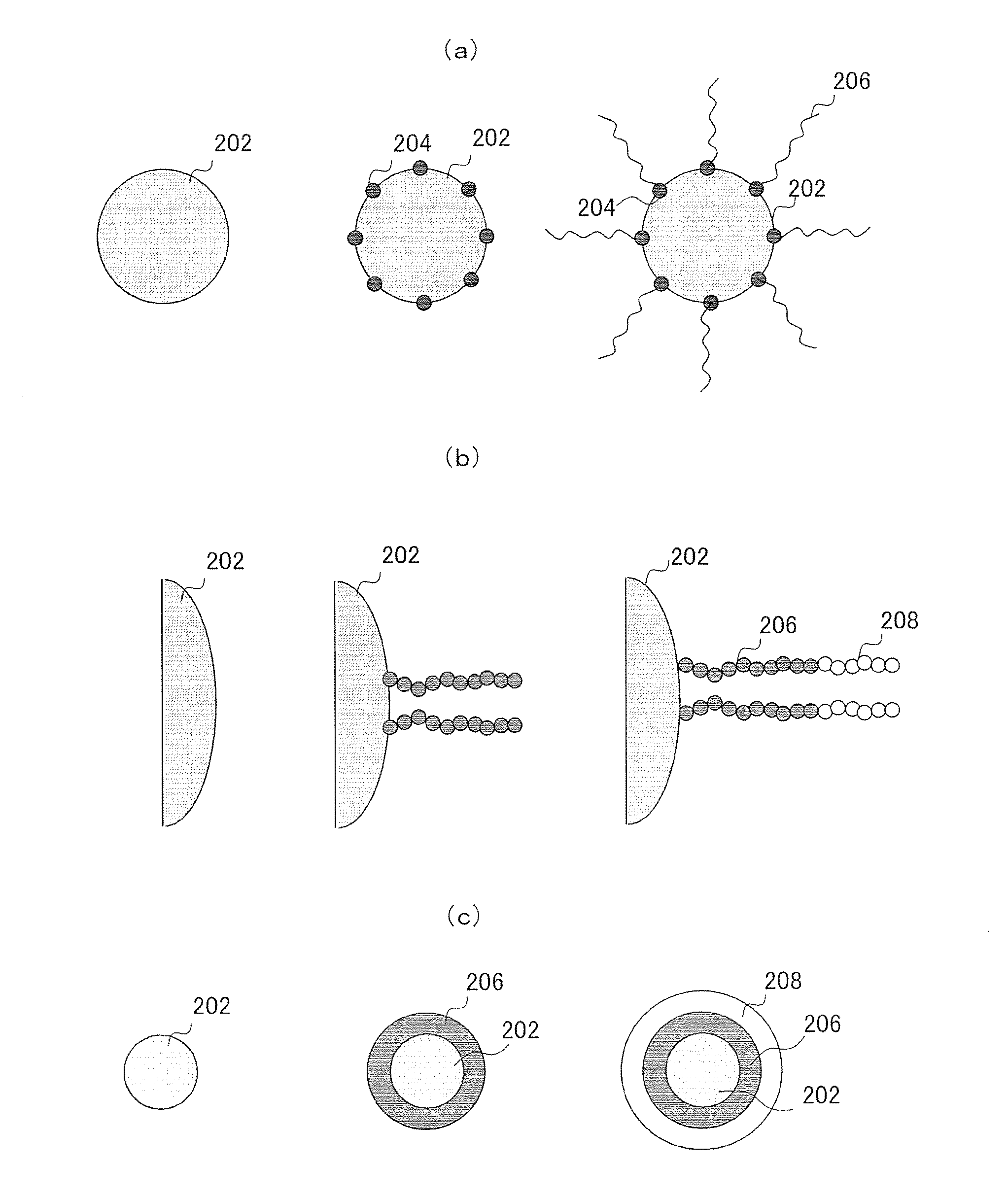 Polymer coated inorganic fine particle and method for preparing the same