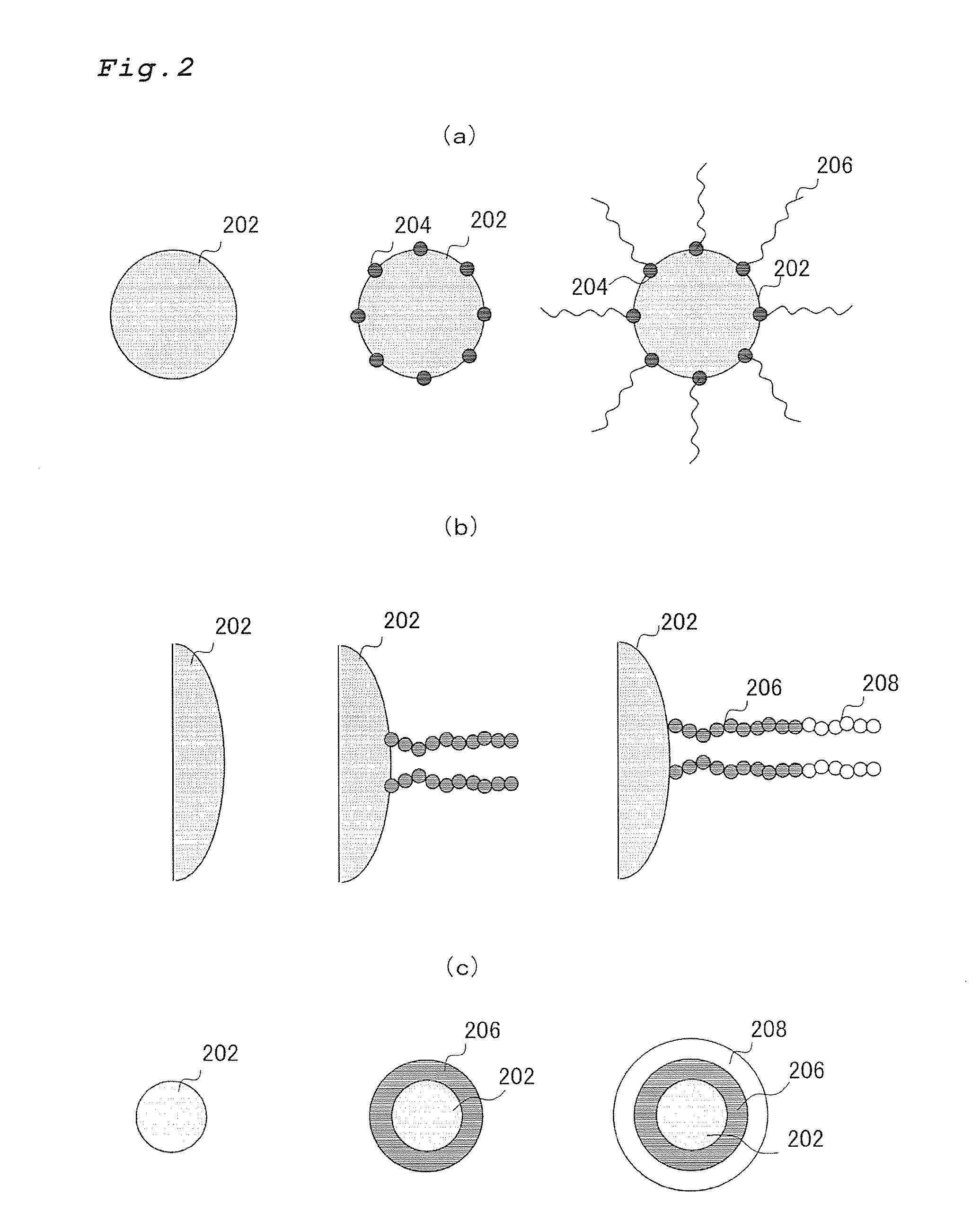 Polymer coated inorganic fine particle and method for preparing the same