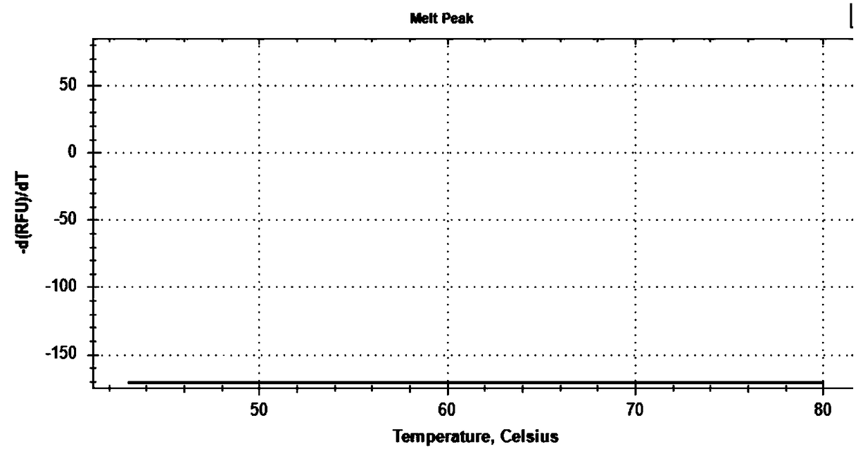 MTRR gene polymorphism detection probe, primer, kit and detection method