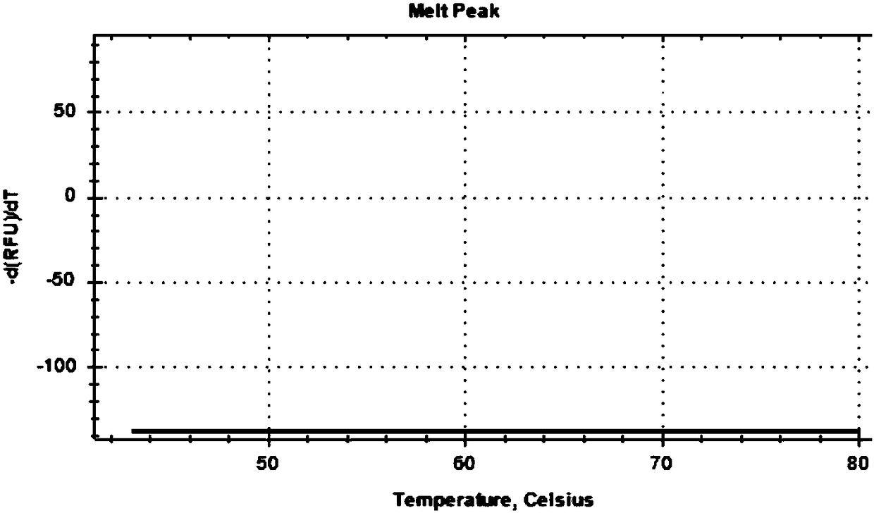 MTRR gene polymorphism detection probe, primer, kit and detection method