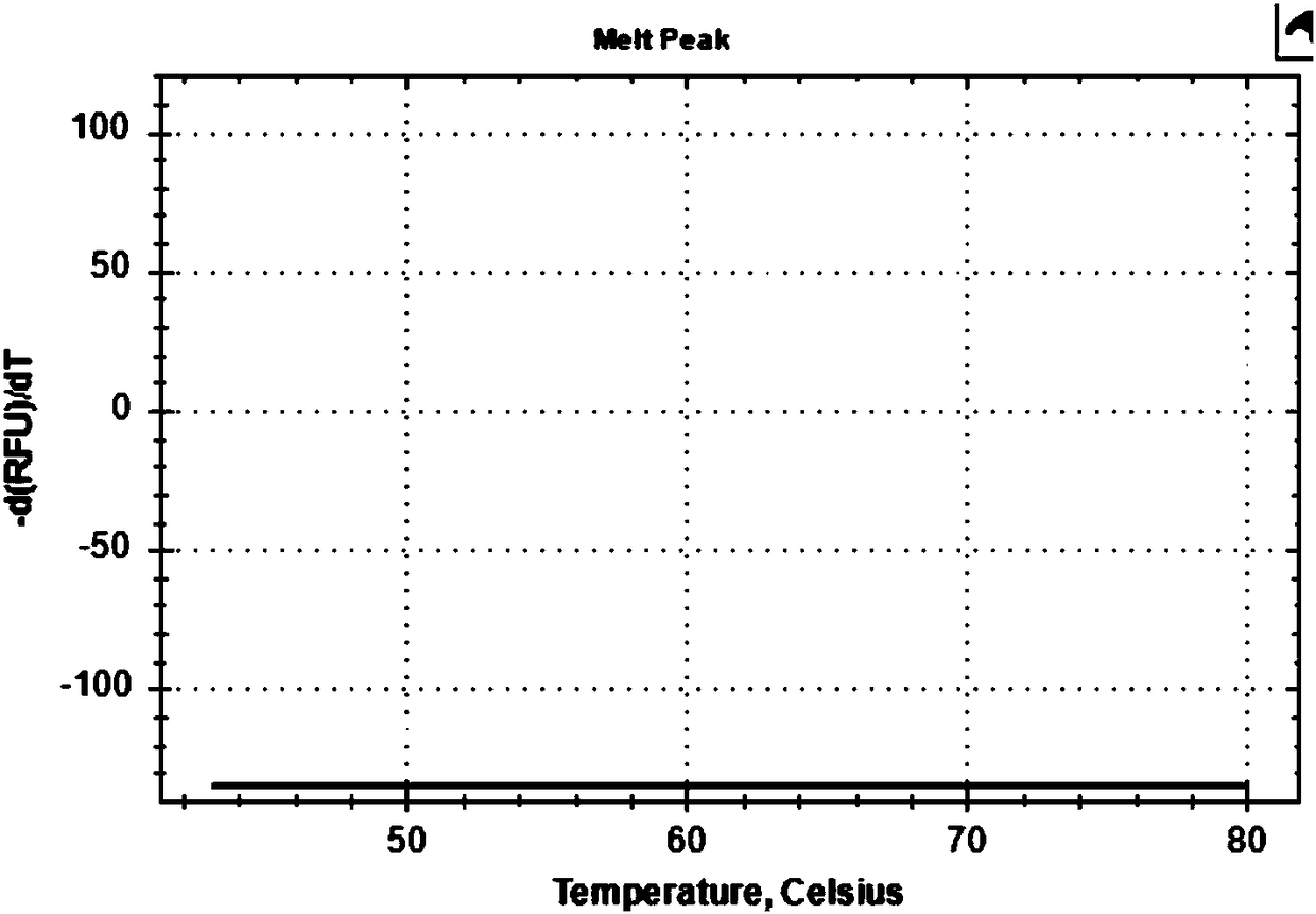 MTRR gene polymorphism detection probe, primer, kit and detection method