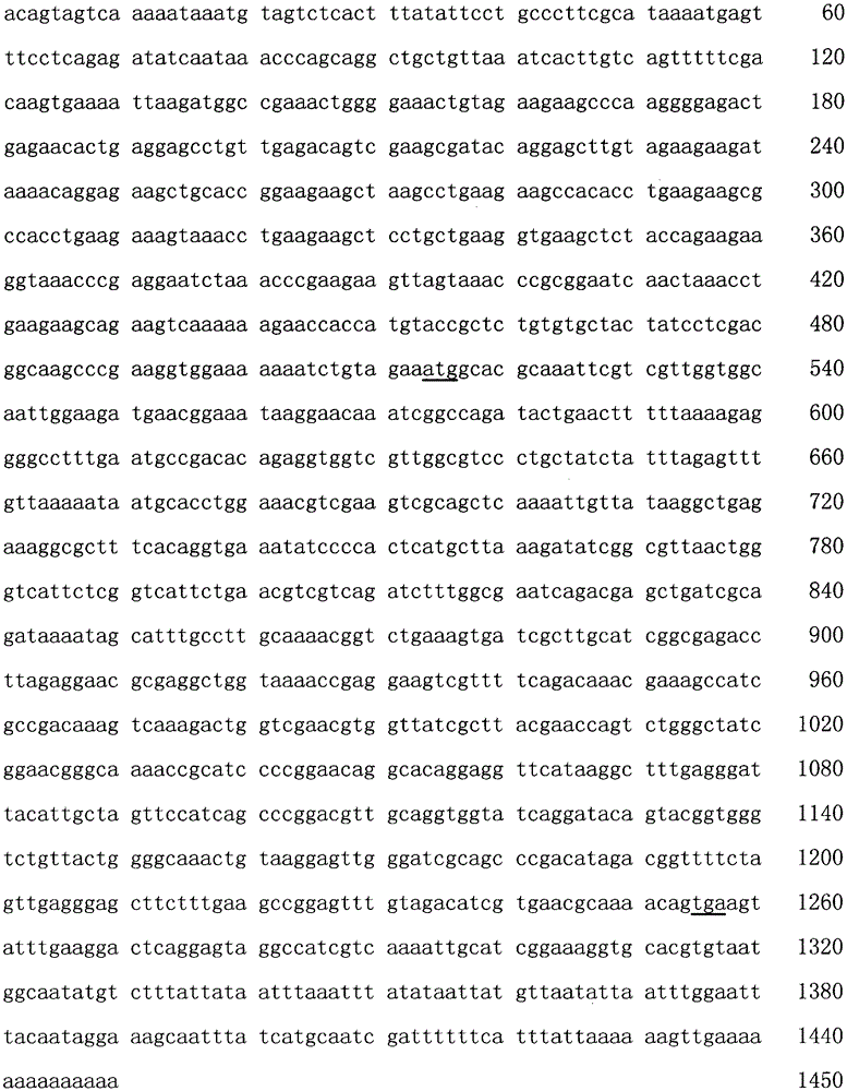 Gene full-length sequence of monochamus alternatus triosephosphate isomerase and clone method thereof