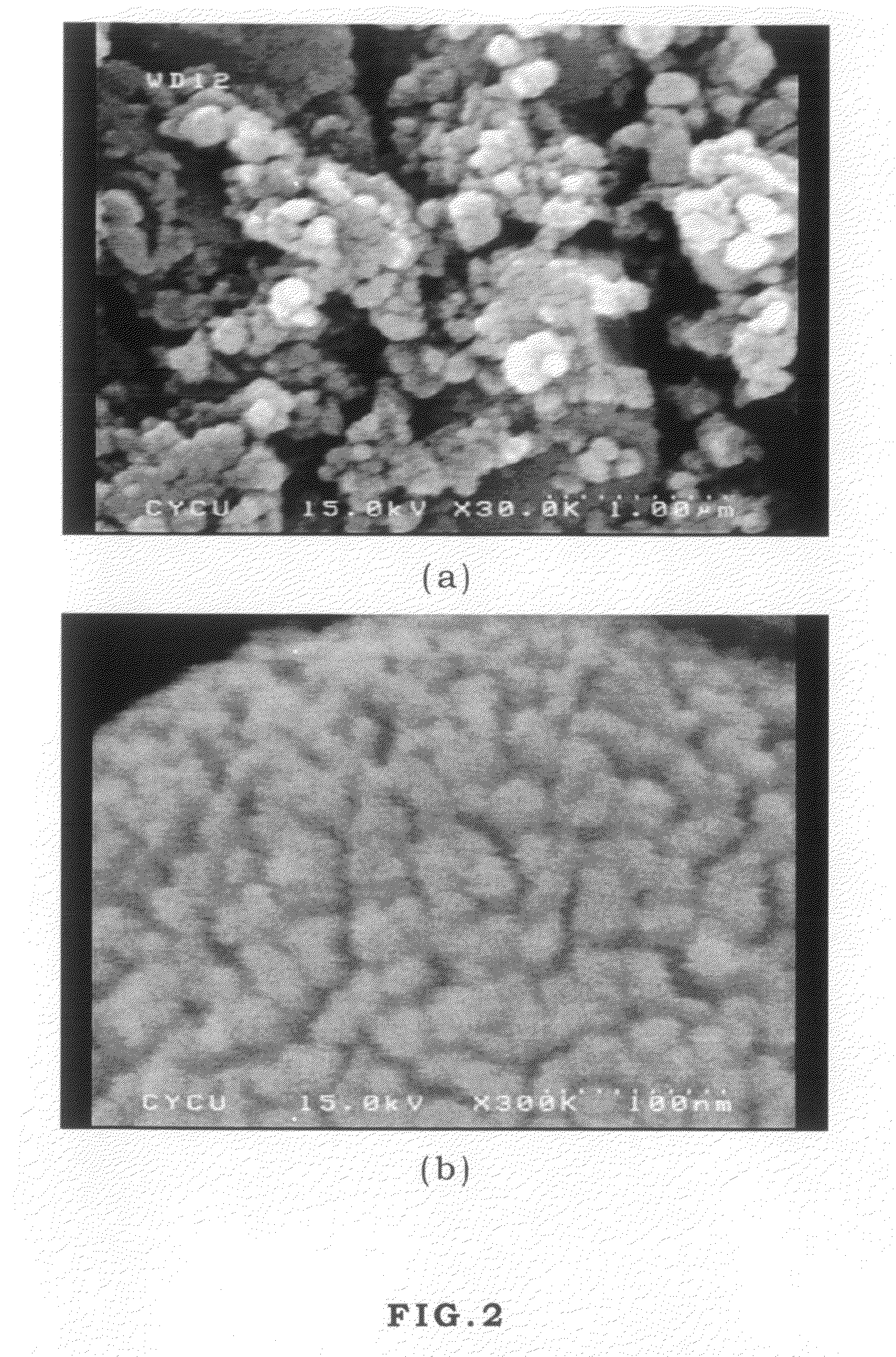 Method for fabricating aerogels and their application in biocomposites