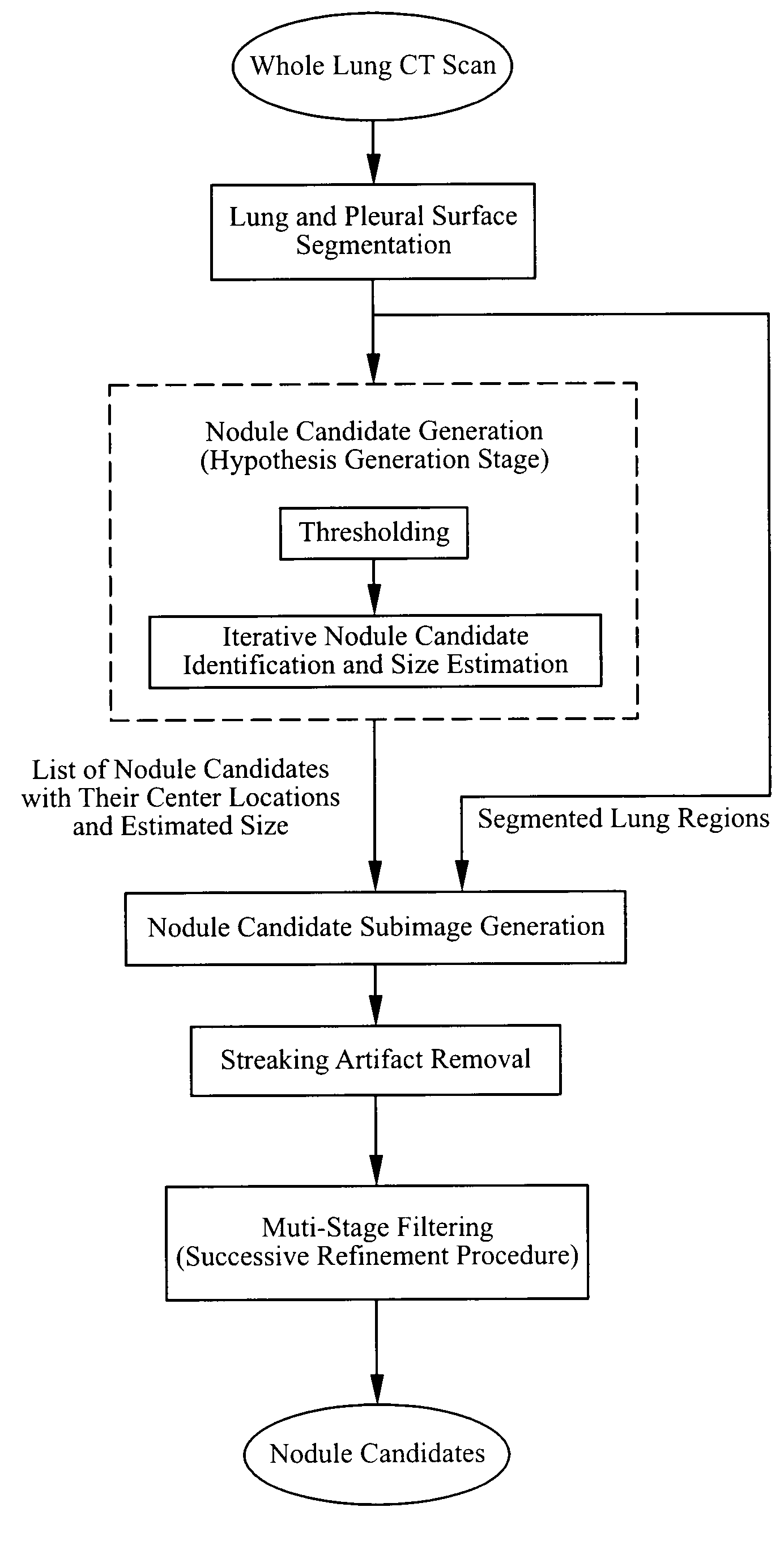 System, Method and Apparatus for Small Pulmonary Nodule Computer Aided Diagnosis from Computed Tomography Scans