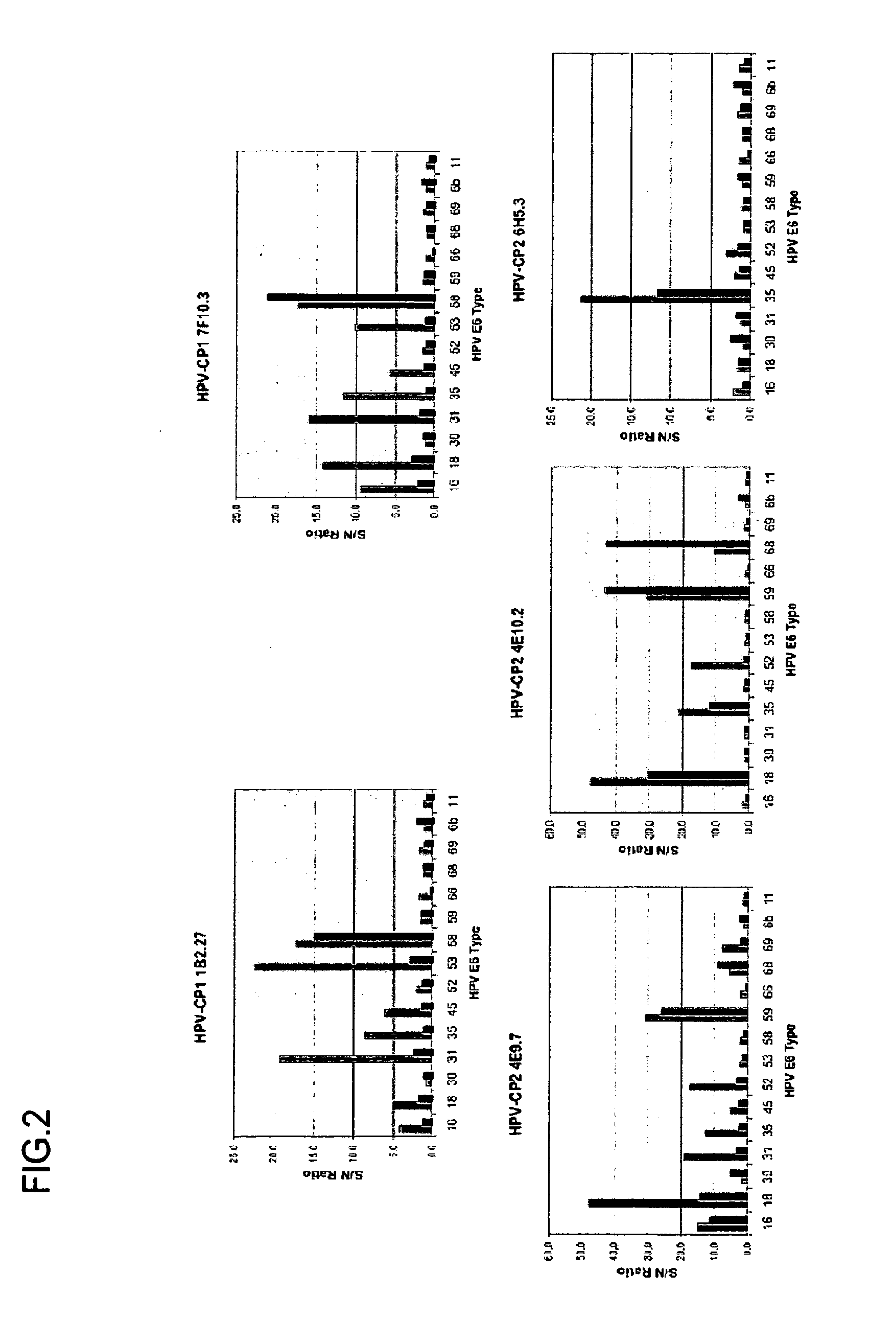 Antibodies specific to e6 proteins of HPV and use thereof