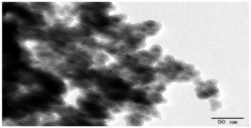 A kind of preparation method of patulin magnetic molecularly imprinted polymer