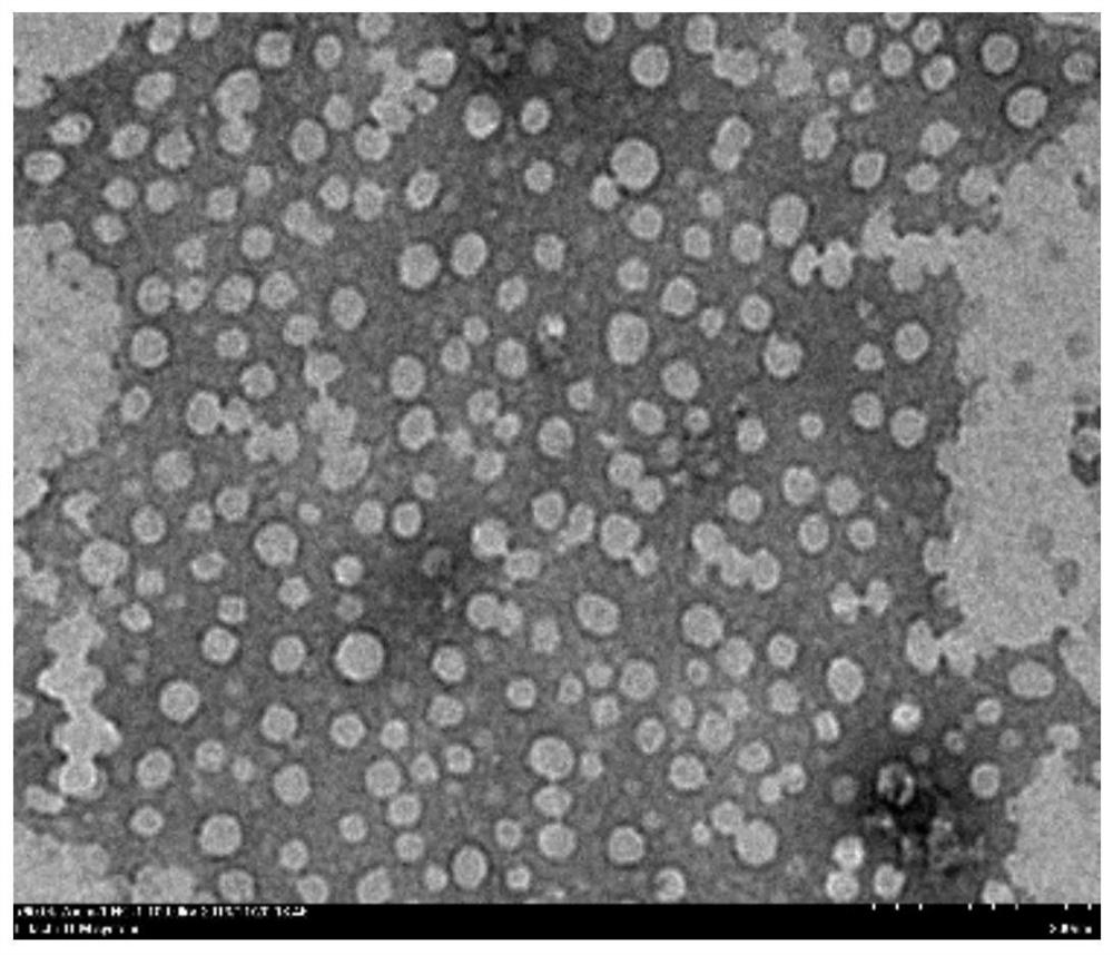 pH regulation self-assembled antibacterial peptide and preparation method and application