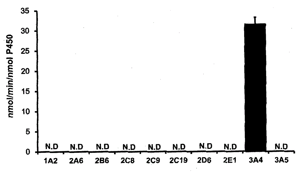 Specificity probe substrate of cytochrome P450-3A4 enzyme and application thereof