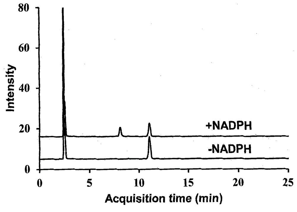 Specificity probe substrate of cytochrome P450-3A4 enzyme and application thereof