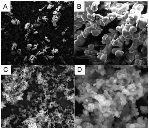 FDU-12-based aflatoxin surface imprinted polymer and application thereof
