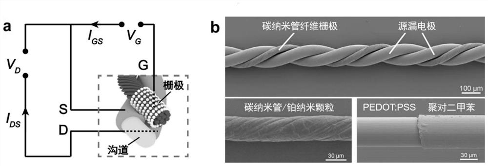 Flexible implantable fibrous organic electrochemical transistor and preparation method thereof