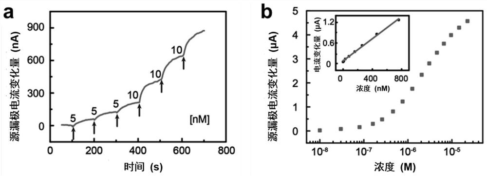 Flexible implantable fibrous organic electrochemical transistor and preparation method thereof