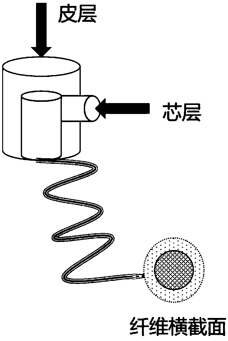 Skin-core double-layer leather protein fiber and preparing method thereof