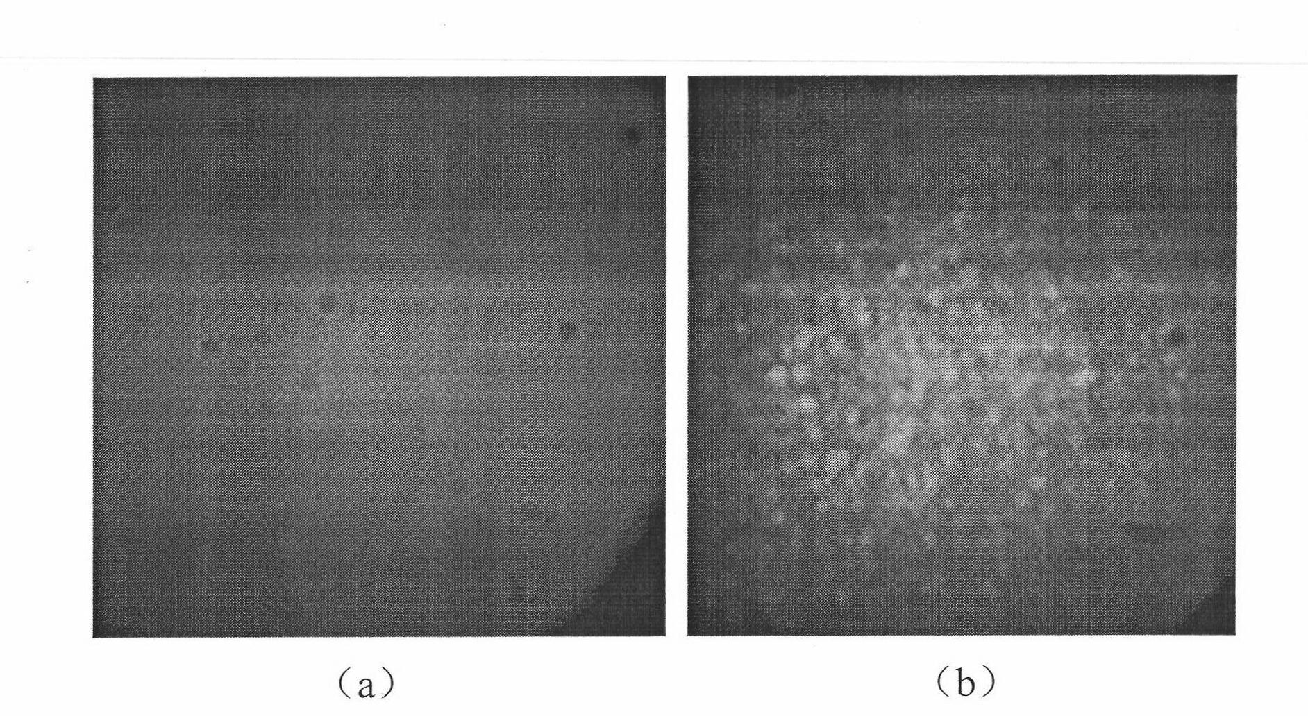 Universal liquid crystal adaptive aberration correcting retina imaging system
