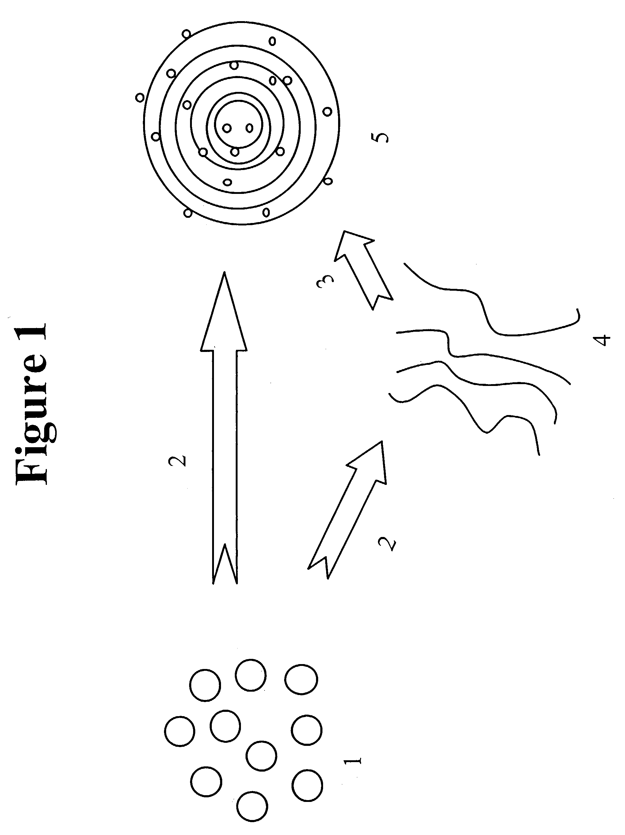 Methods for entrapment of bioactive agent in a liposome or lipid complex