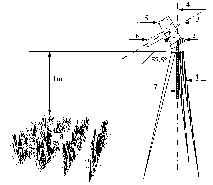 Method of acquiring leaf area index (LAI) of rice canopy by using common digital camera