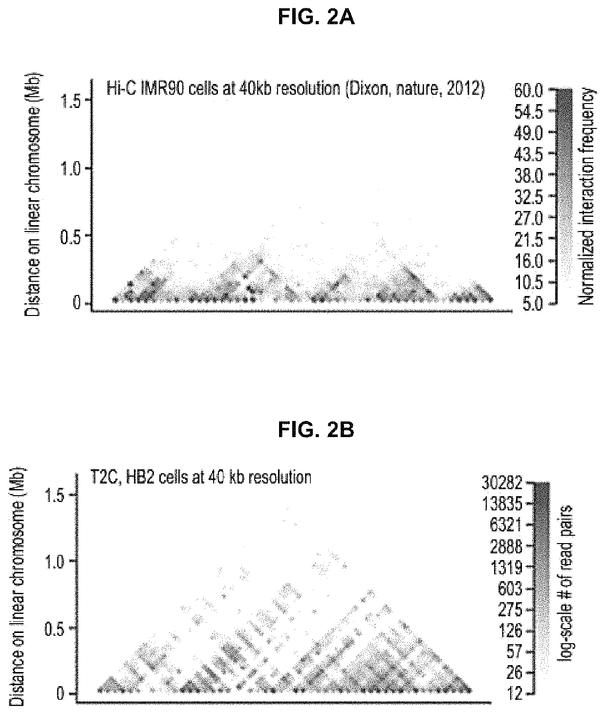 Method for analysing the interaction of nucleotide sequences in a three-dimensional DNA structure