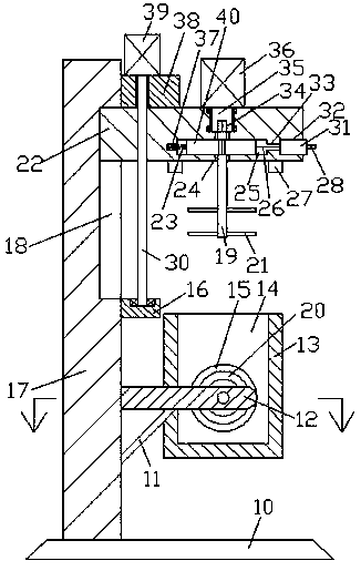 Plant protein peptide powder and preparation method thereof