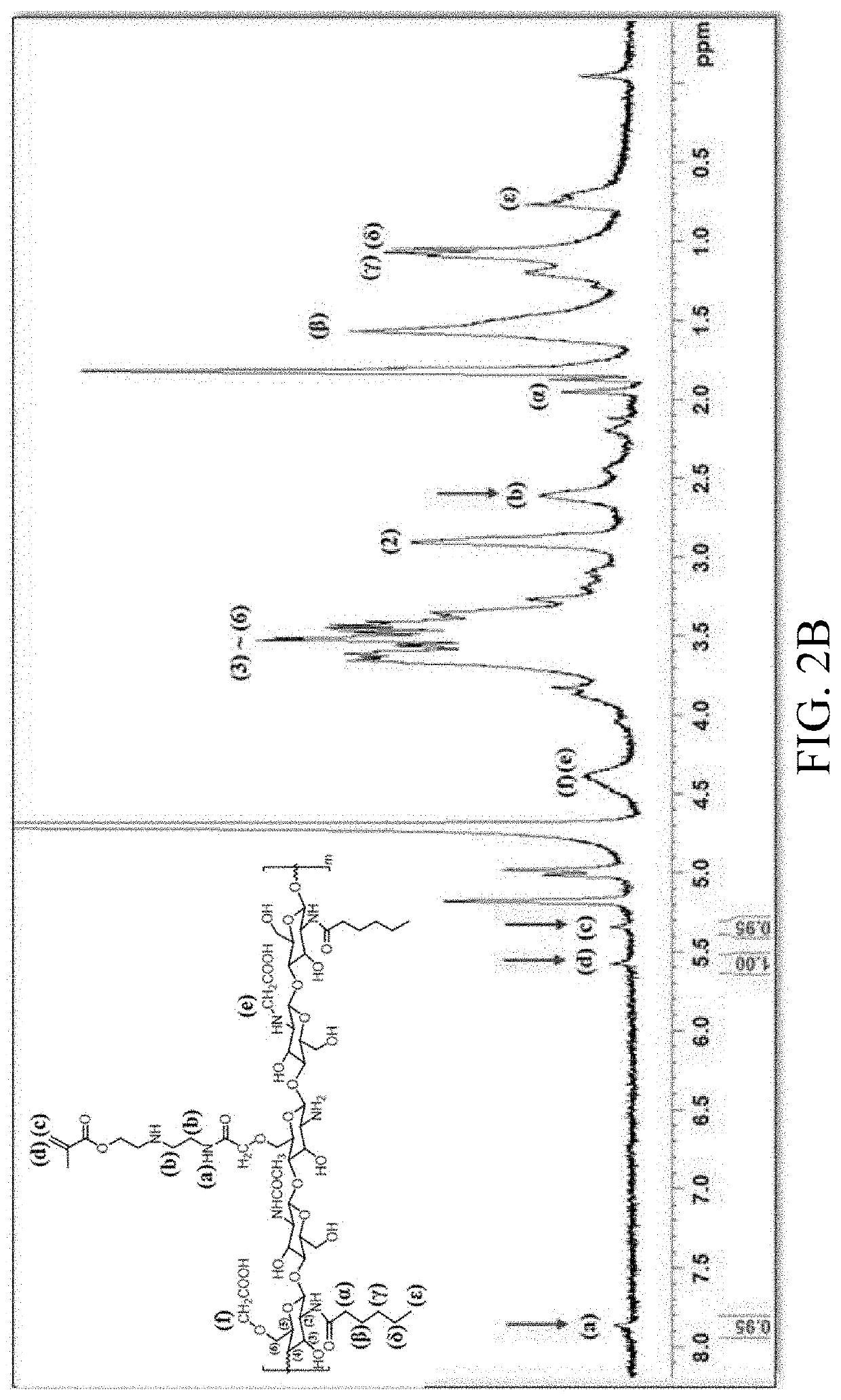 Amphiphilic polymer and manufacturing method thereof, use of amphiphilic polymer as contact lens material, contact lens material including amphiphilic polymer