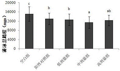 Method for screening oyster bioactive peptides with effect of improving memory in vitro