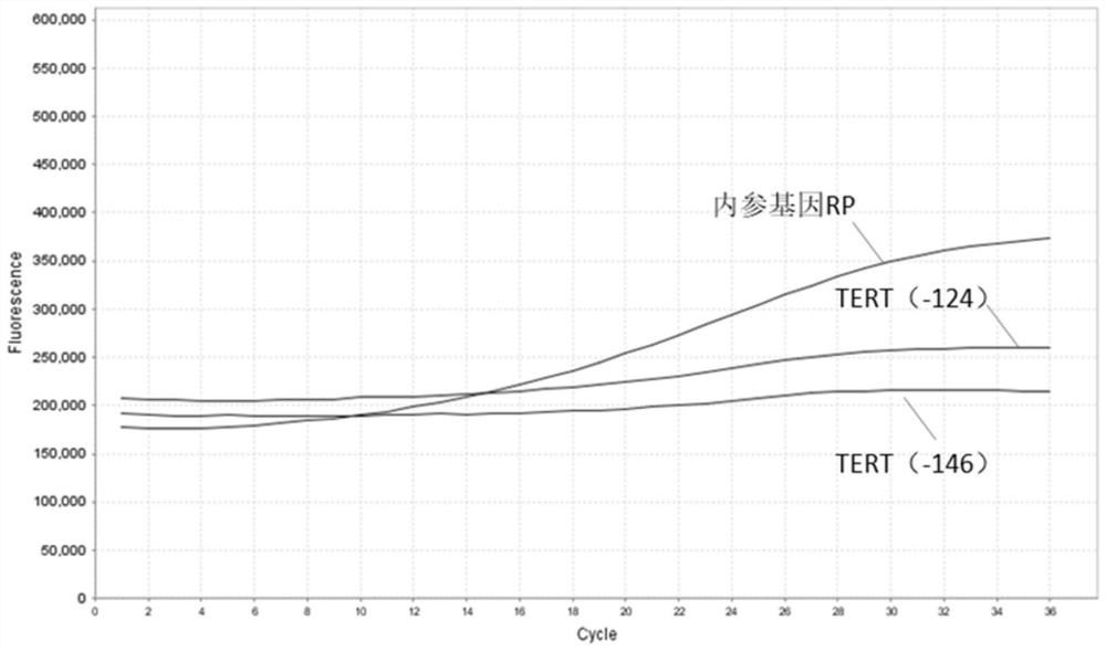 Pretreatment method and application of large-volume urine