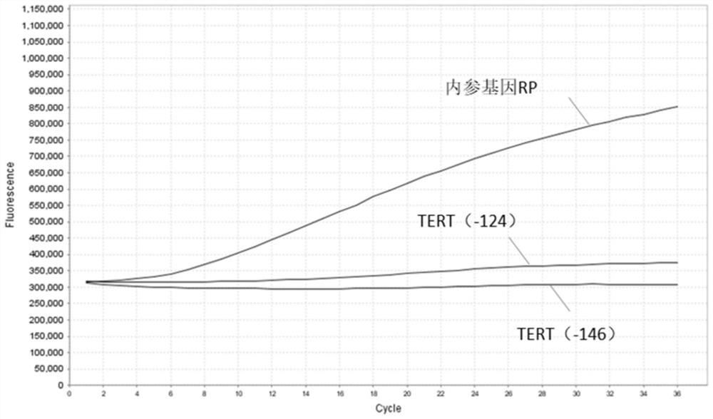 Pretreatment method and application of large-volume urine