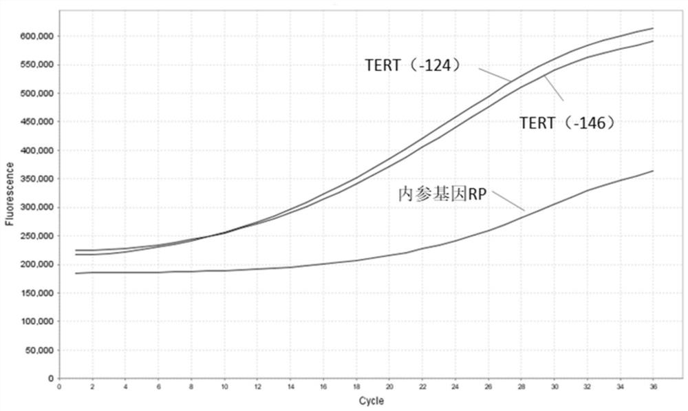 Pretreatment method and application of large-volume urine