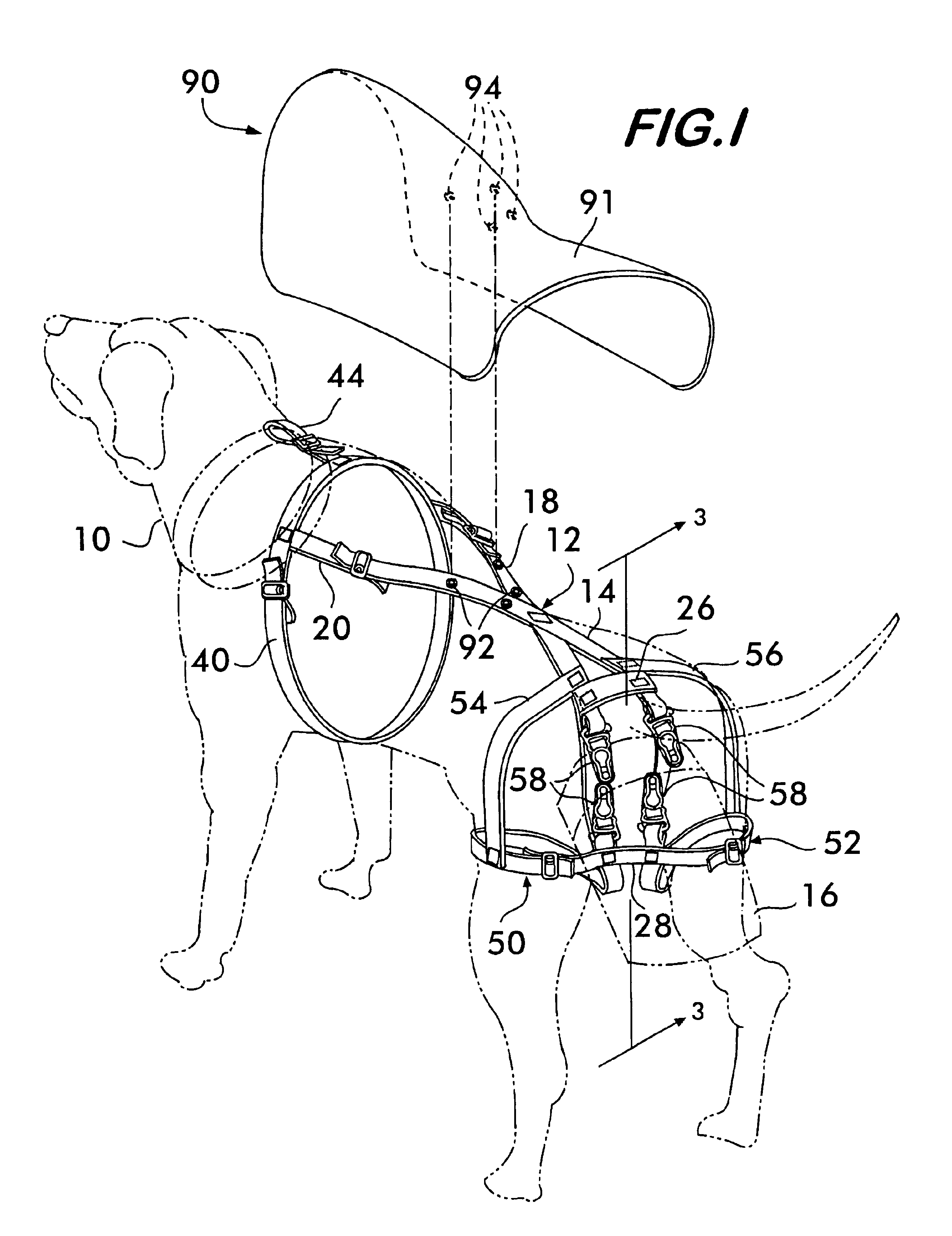 Device for collection of animal waste