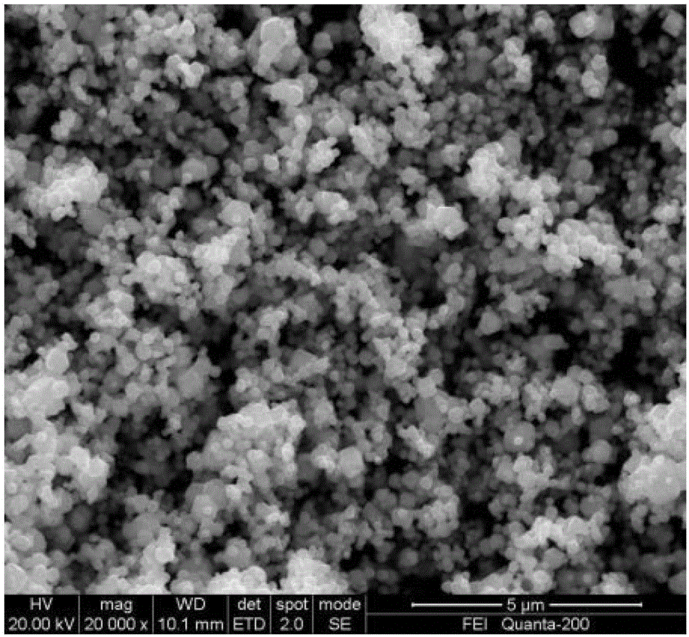 A kind of visible light catalyst and its preparation method and application