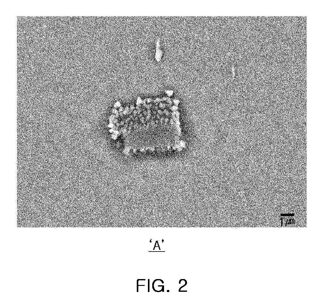 Ferritic stainless steel having excellent ductility and method for manufacturing same