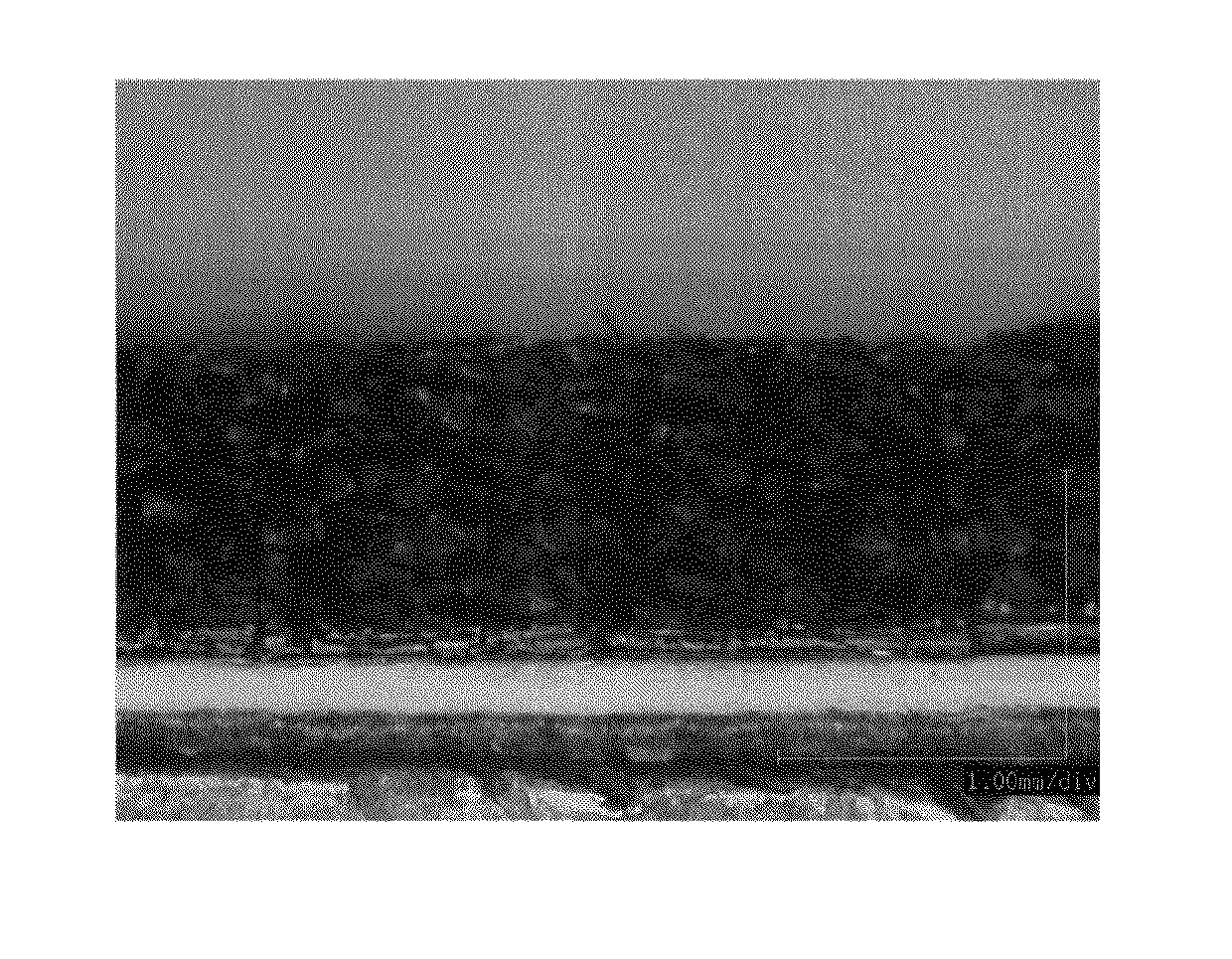 Polyolefin resin foam and the process for producing the same