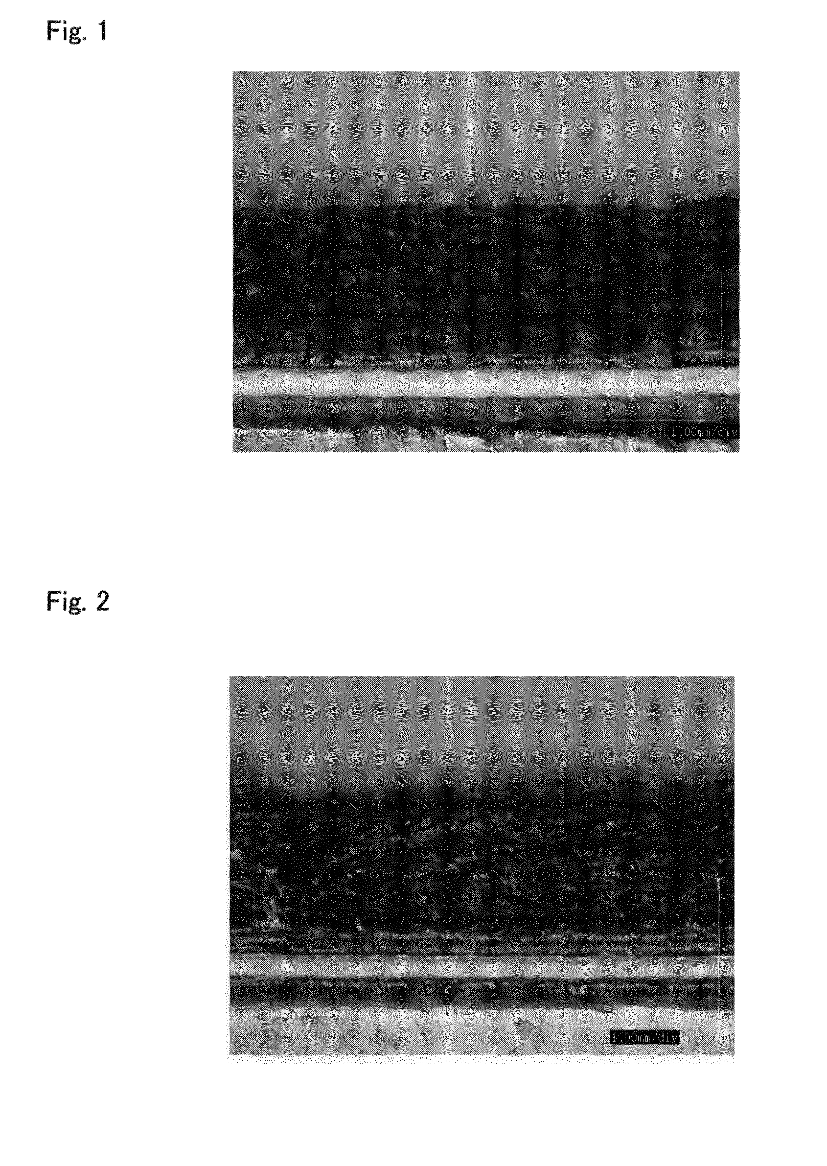 Polyolefin resin foam and the process for producing the same