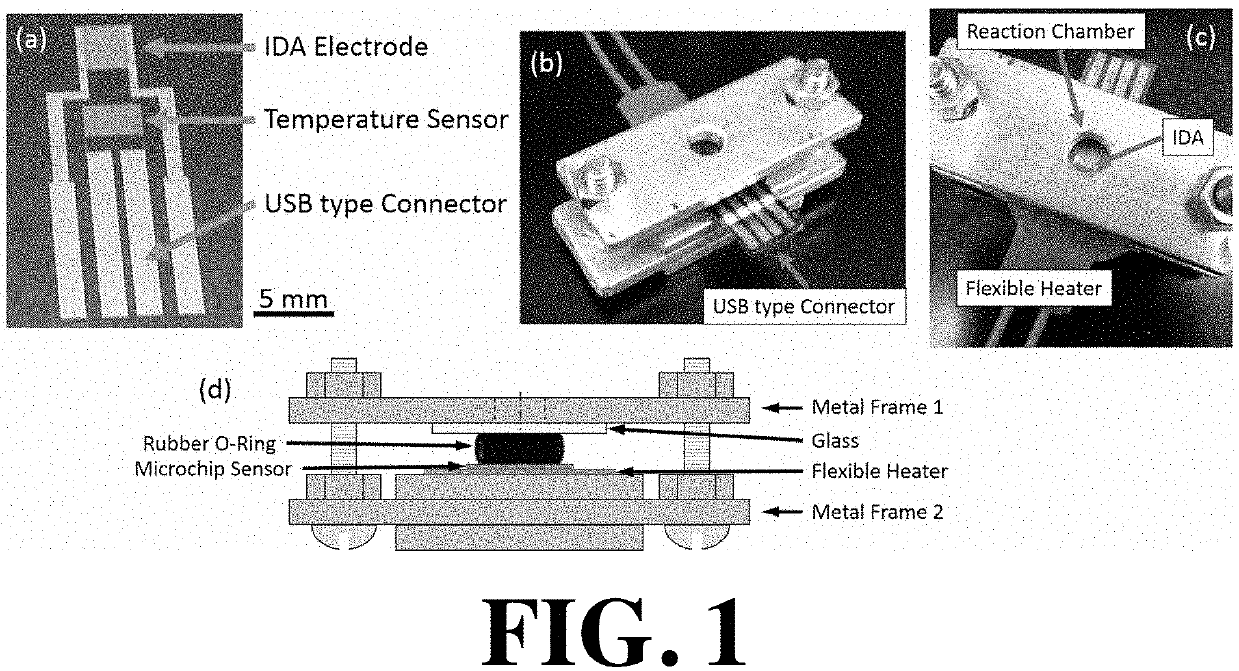 Electrochemical impedimetric biosensing microchip for real time telomerase activity detection