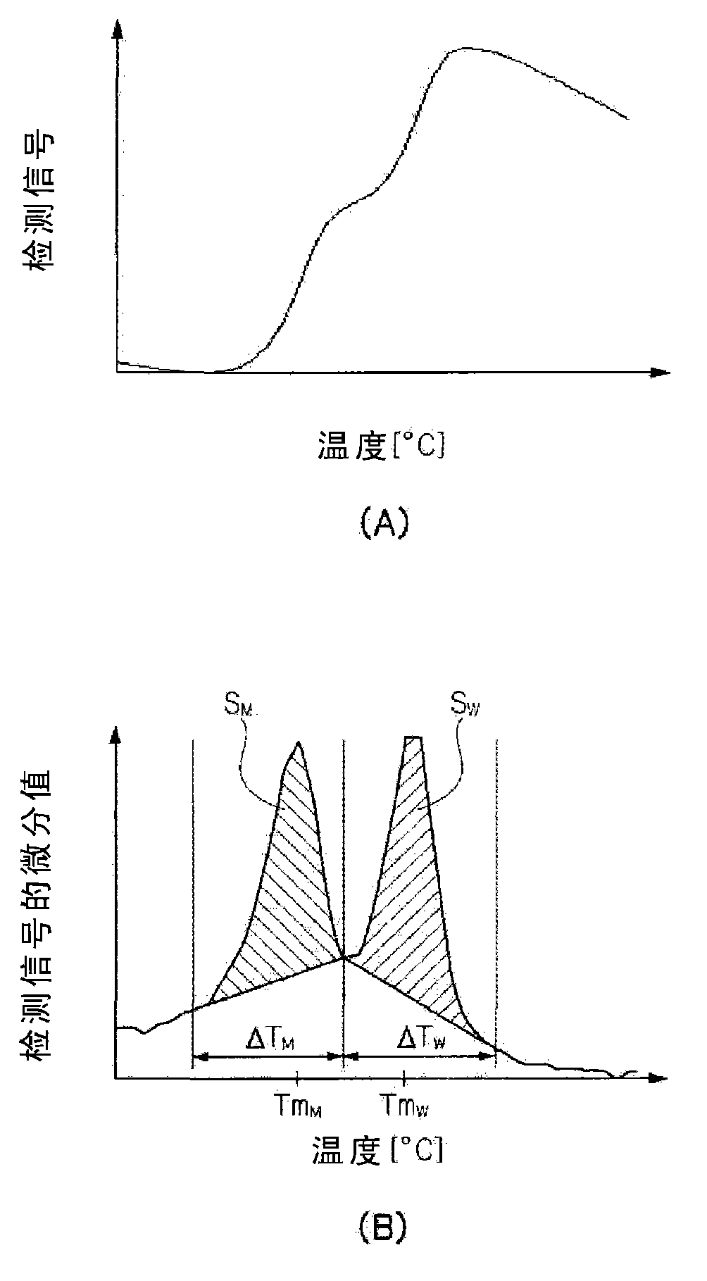 Polymorphism detection probe, polymorphism detection method, method of evaluating drug efficacy, and reagent kit for polymorphism detection