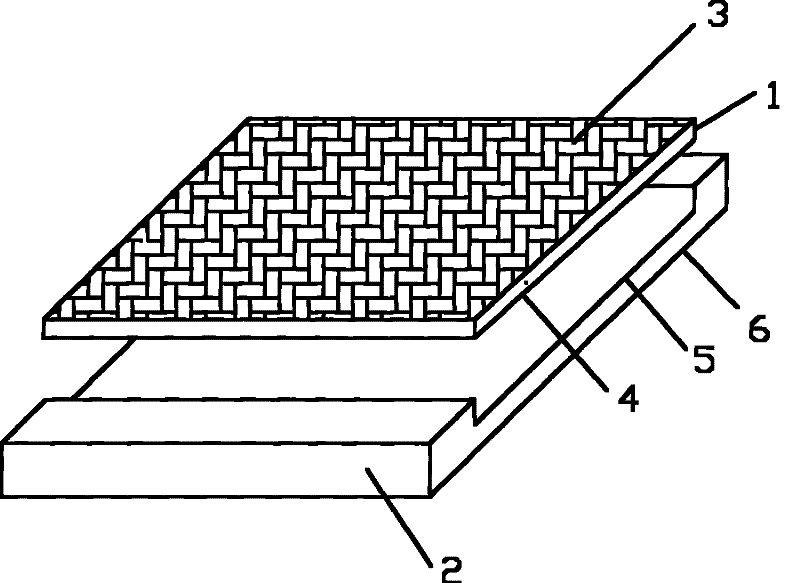 Dust-removing floor mat