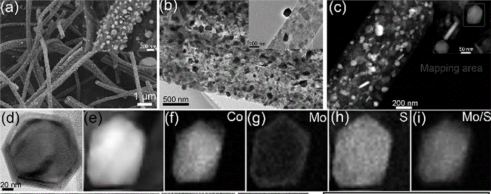 Electrolyzed-water catalytic material with nanometer core-shell structure of cobalt sulfide and molybdenum disulfide
