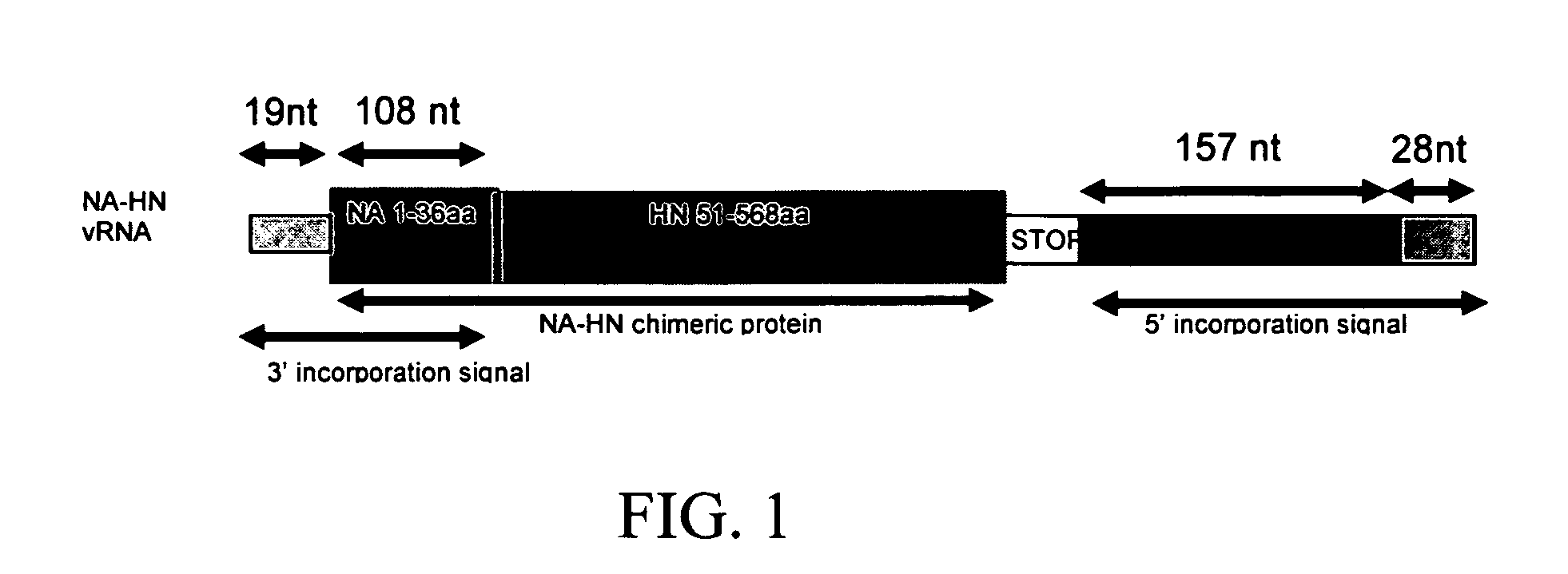 Chimeric viruses presenting non-native surface proteins and uses thereof