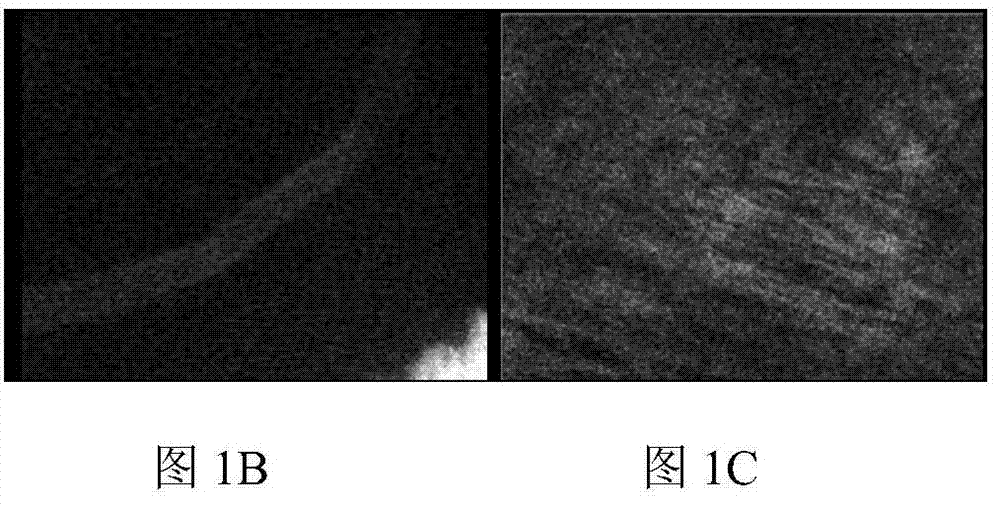 A kind of tissue light transparent agent and its application