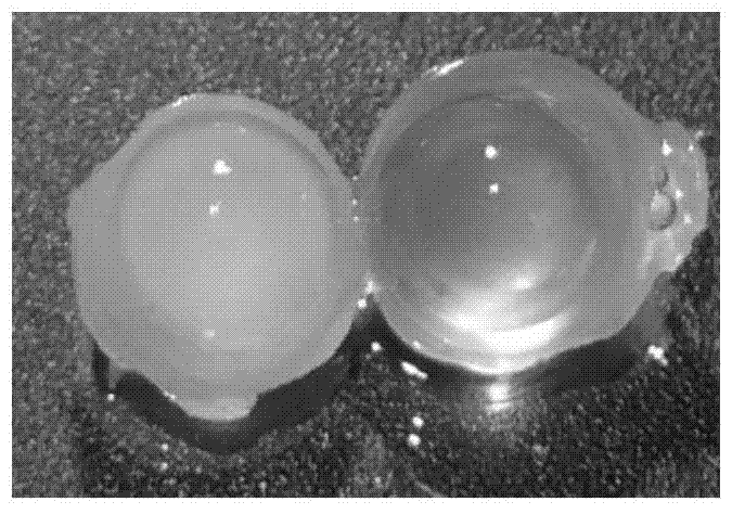 A kind of tissue light transparent agent and its application