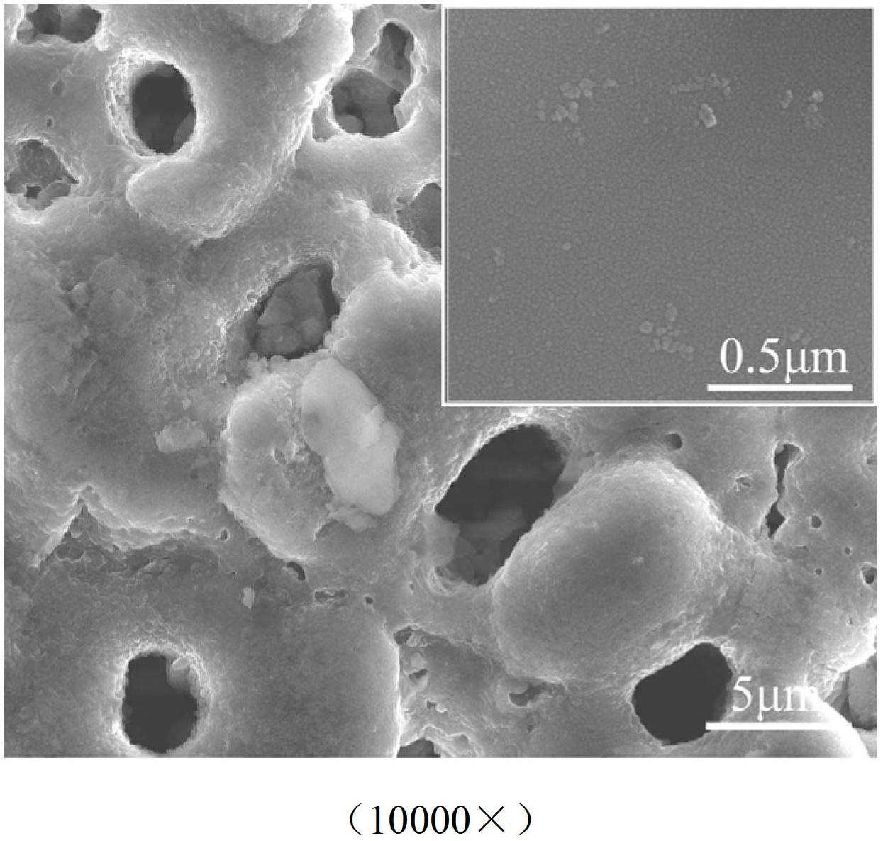 Process for preparing compact magnesium oxide/hydroxyapatite nano fiber double-layer coating on surface of magnesium base