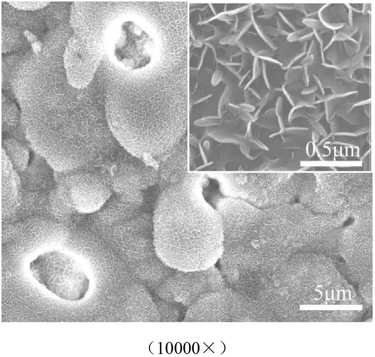 Process for preparing compact magnesium oxide/hydroxyapatite nano fiber double-layer coating on surface of magnesium base