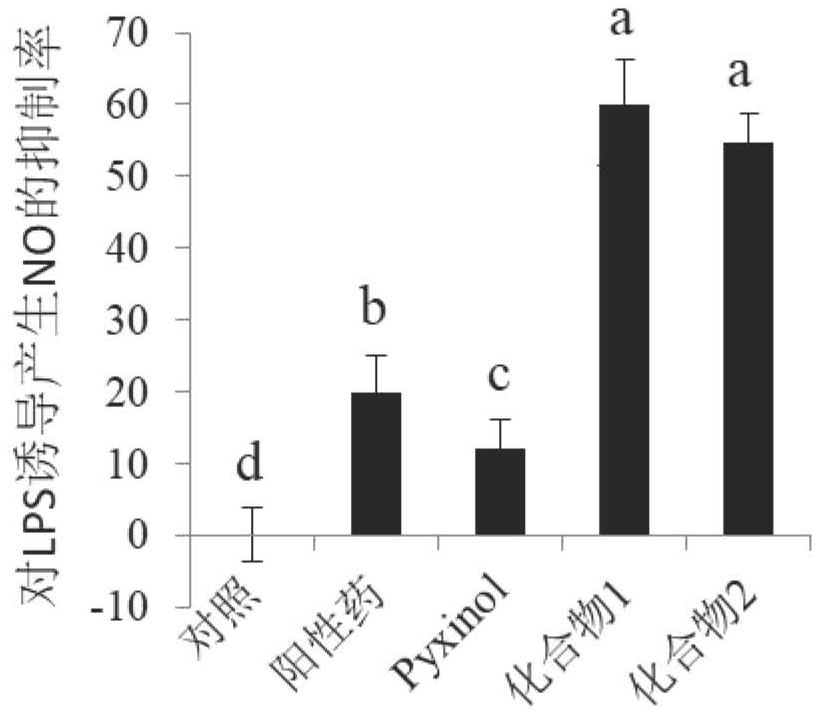 Pyxinol esterified derivatives with anti-inflammatory activity, preparation method and application thereof