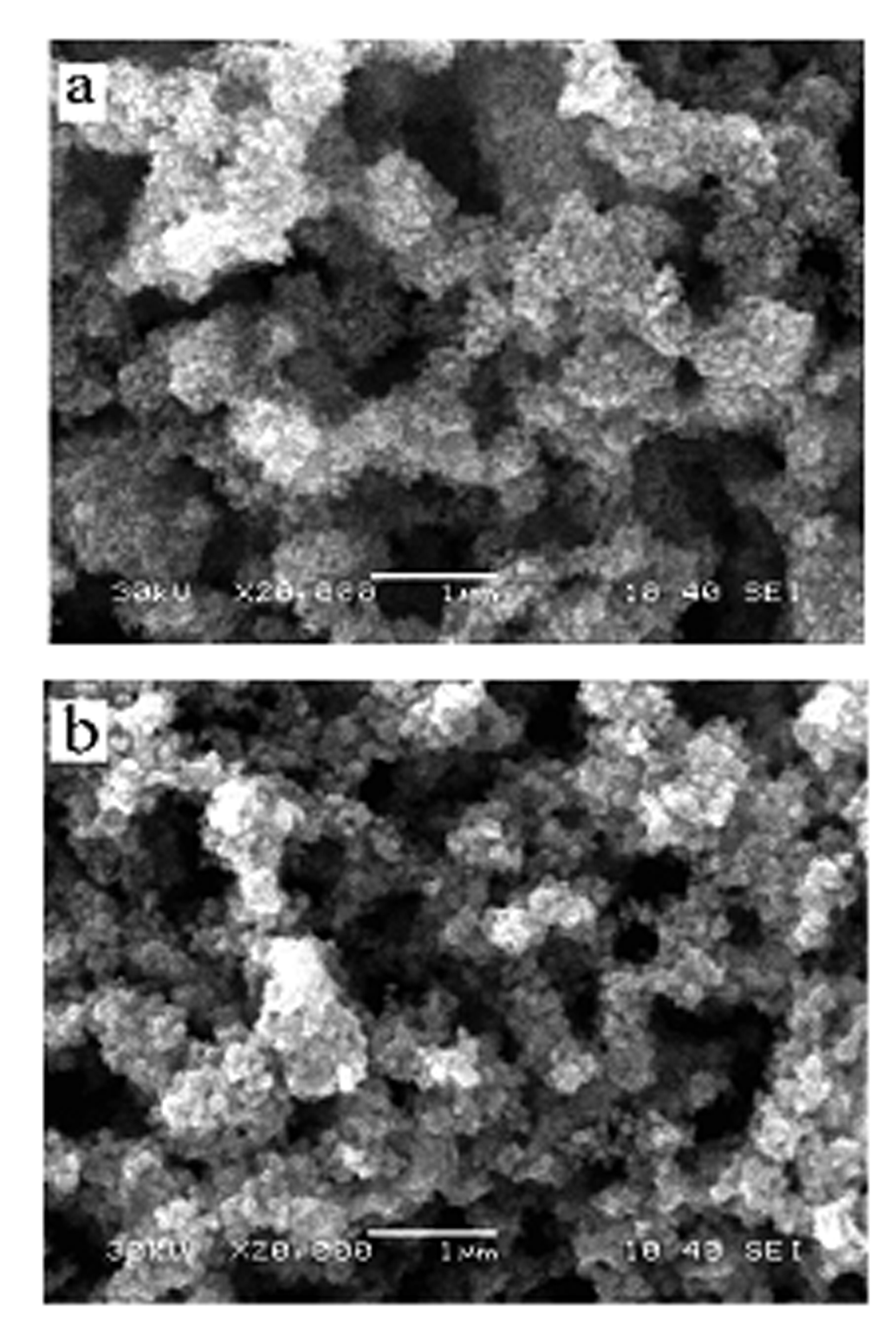 Three-dimensional mesh nano porous palladium-ruthenium electrode material for fuel cell and preparation method thereof