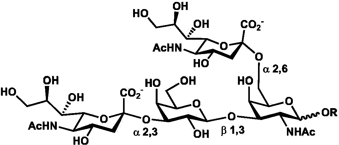 Synthetic method of double-sialylated tetrasaccharide