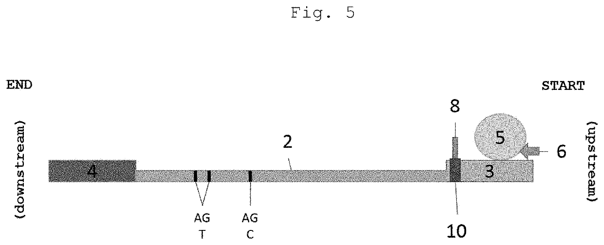 Cassette device for quick test of diagnosis, method for detecting a ligand in a biological sample and kit