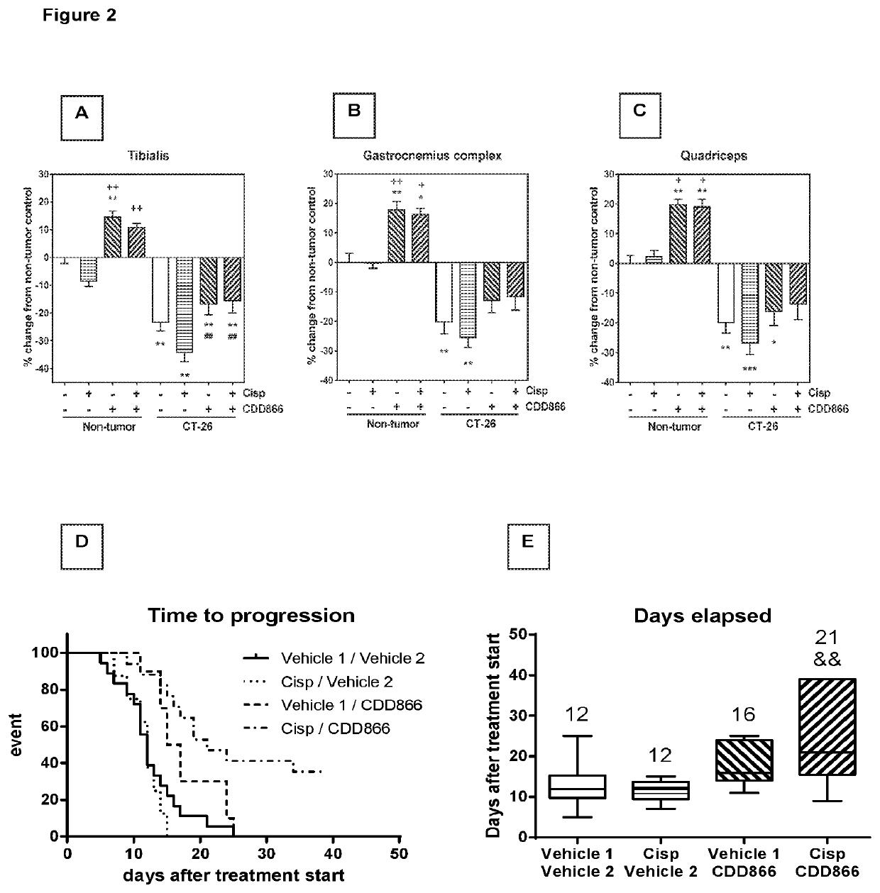 Uses of myostatin antagonists, combinations containing them and uses thereof