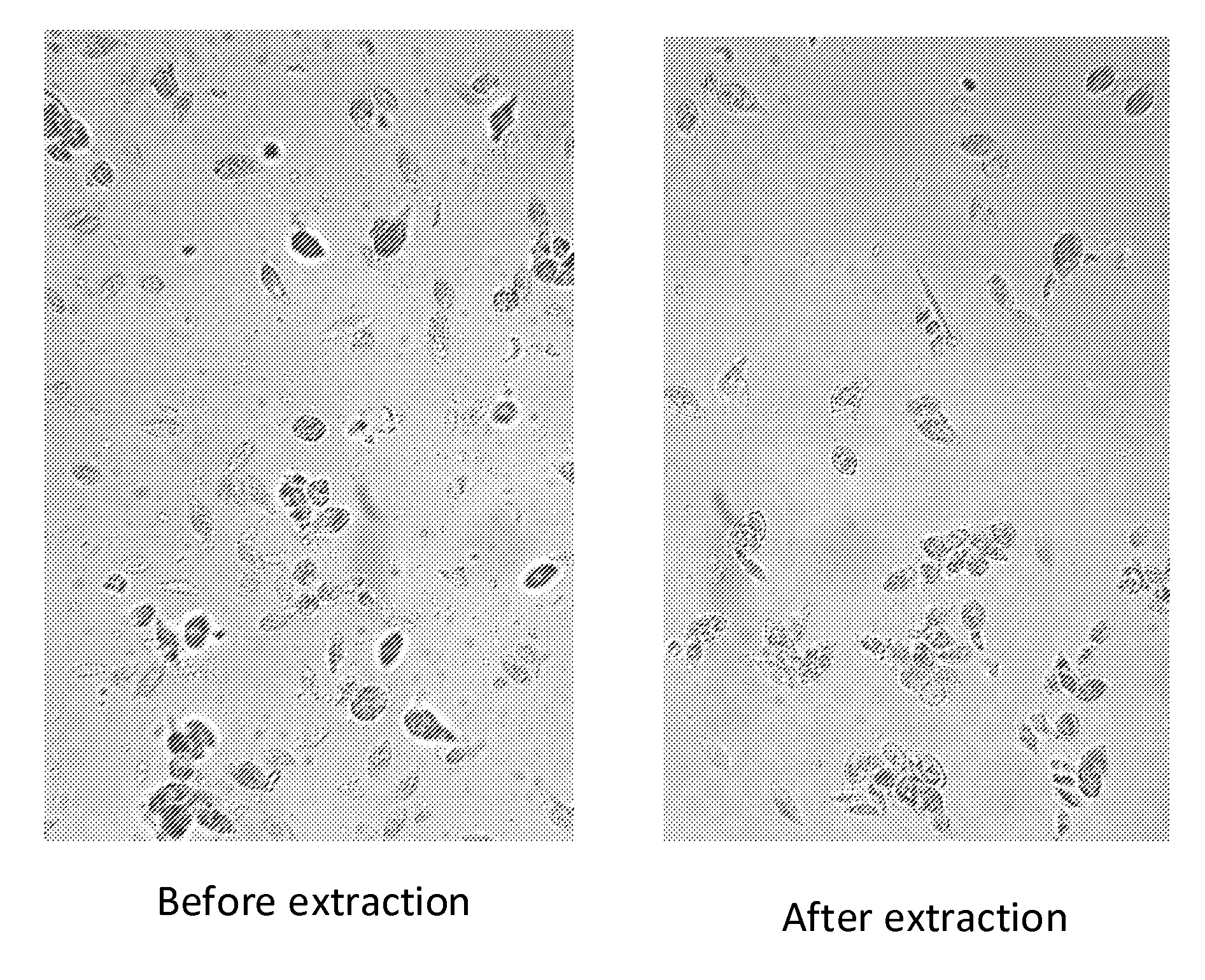 Extraction of proteins by a two solvent method
