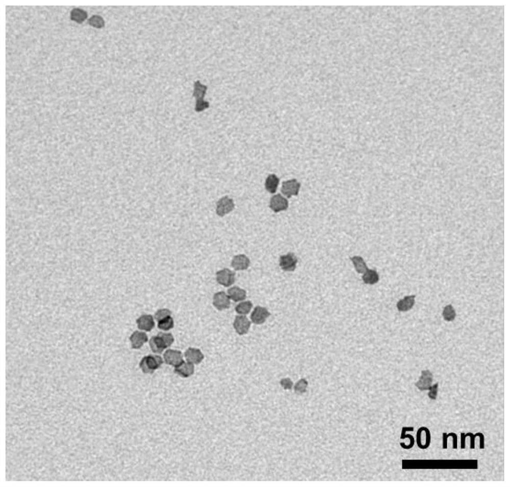 Two-dimensional ultrathin PdRu nanosheet as well as preparation method and application thereof